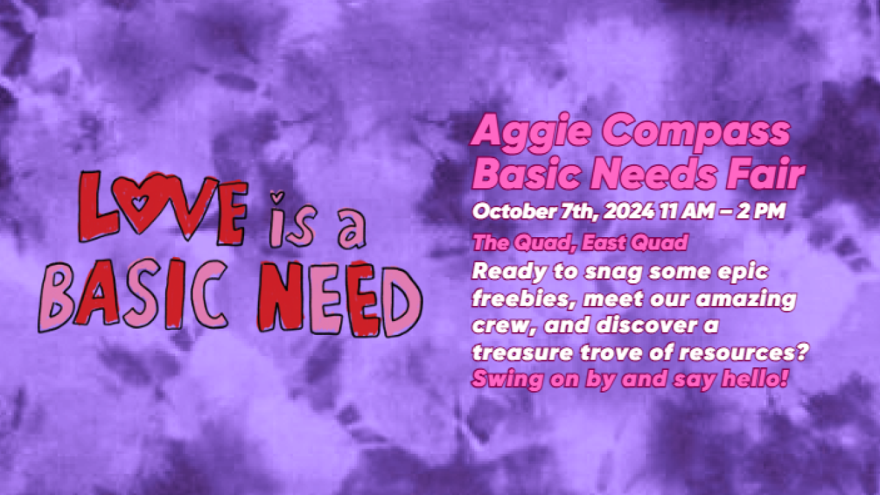 Sqaure sized image of Basic Needs Fair flyer