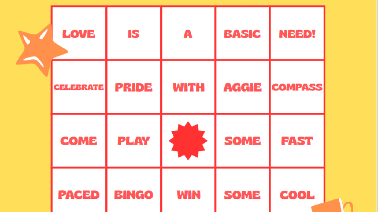 Basic Needs Bingo Flyer